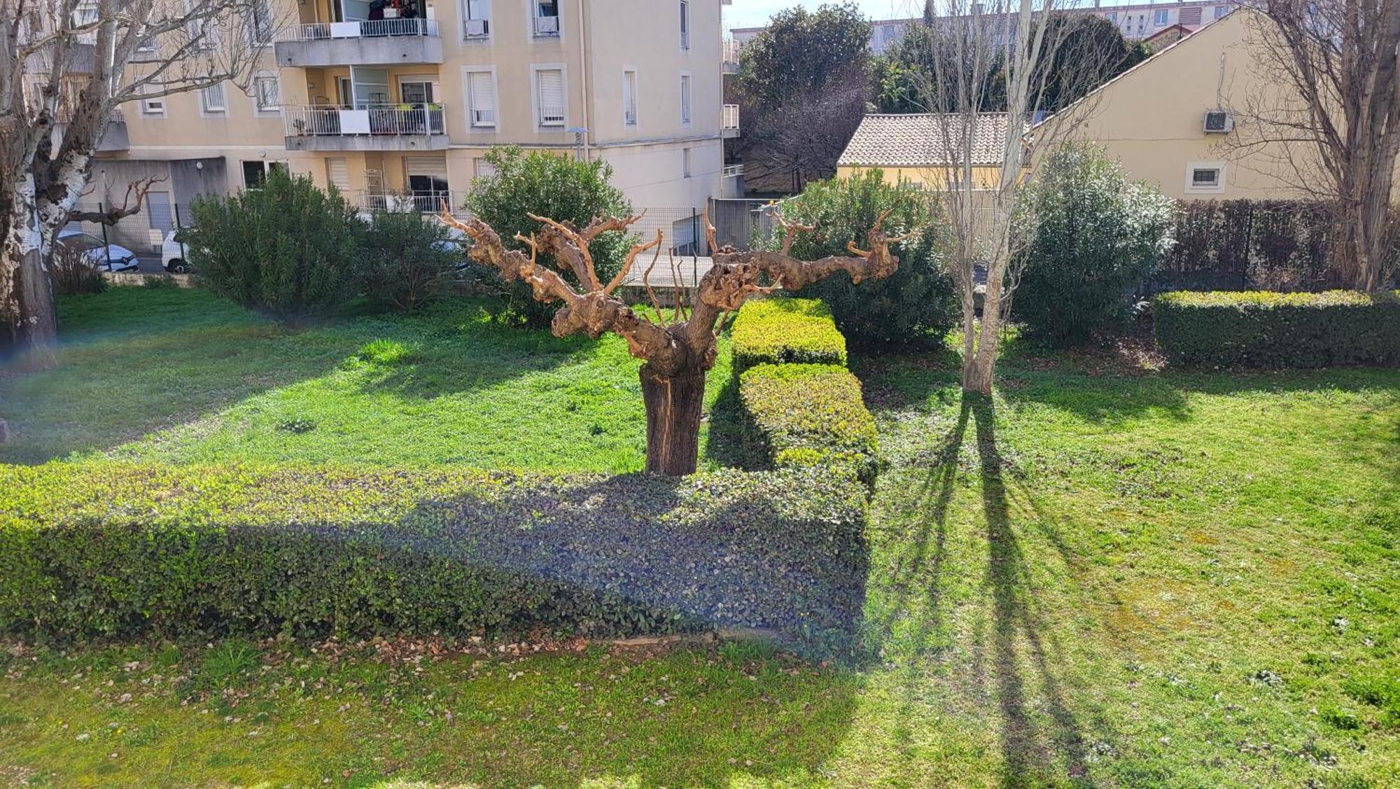 Ferienwohnung Les Tourterelles D'Avignon Exterior foto